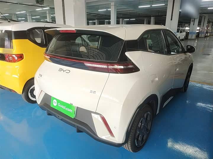 BYD Seagull 2025 2025款 305km 自由版