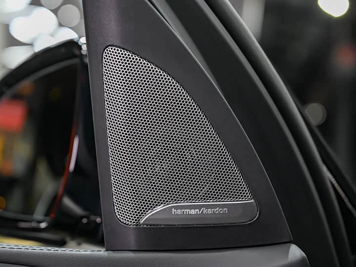 BMW X5 2024 2024款 xDrive 40Li 尊享型黑焰限量版