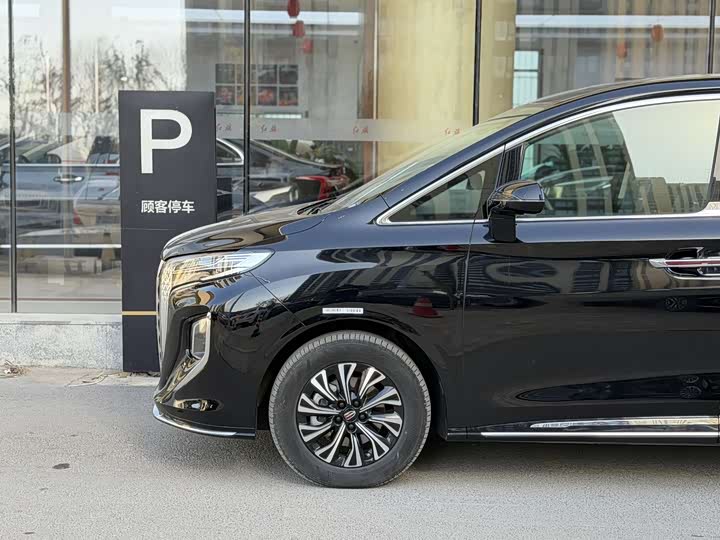 Hongqi HQ9 2024 2024款 2.0T 商务版