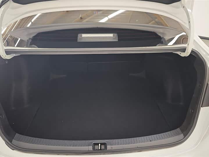 Toyota Levin GT 2021 2021款 2.0L 豪华版