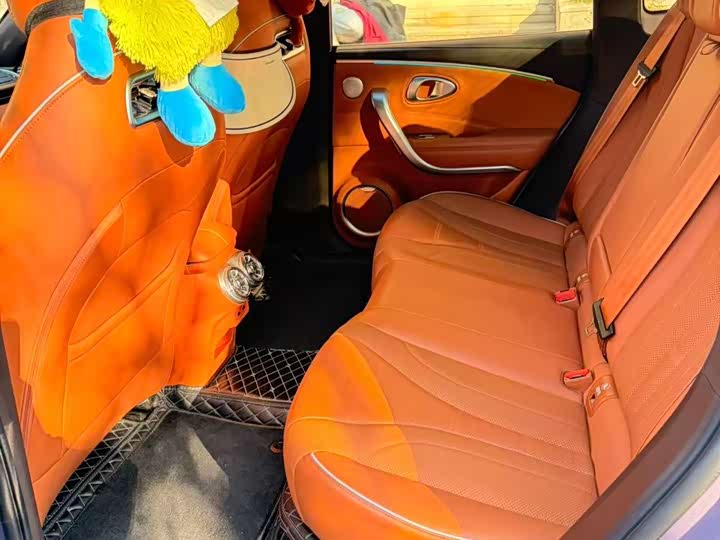 Ora Lightning Cat (07) 2022 2022款 555km 尊贵版