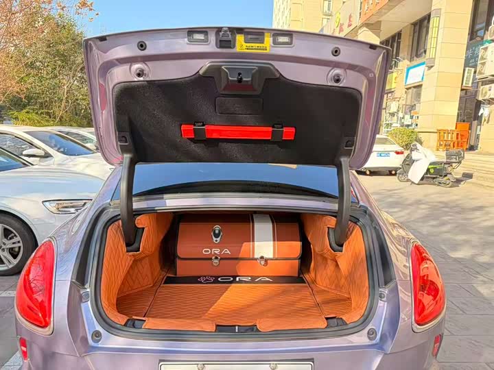 Ora Lightning Cat (07) 2022 2022款 555km 尊贵版