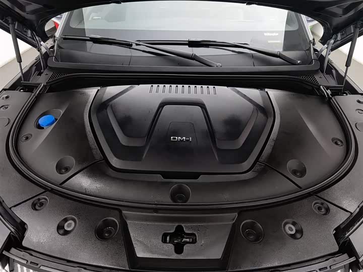 BYD Frigate 07 2024 2024款 荣耀版 DM-i 205KM 旗舰型