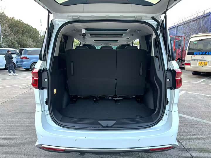 Maxus G10 2025 2025款 MAX 2.0T 自动旗舰版 汽油 7座