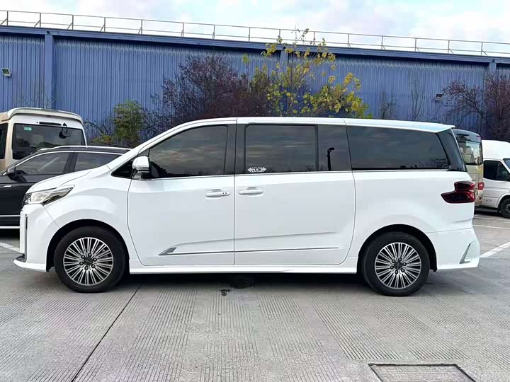 Maxus G10 2025 2025款 MAX 2.0T 自动旗舰版 汽油 7座