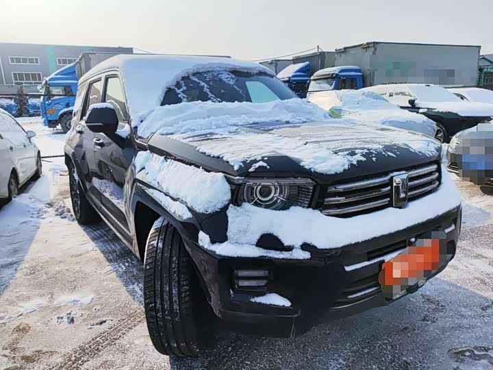 Tank 700 Hybrid 2024 2024款 Hi4-T 极境版