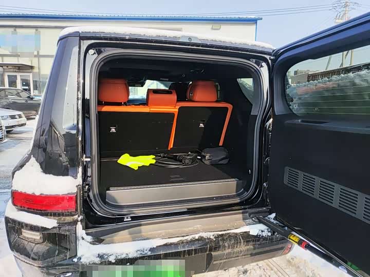 Tank 700 Hybrid 2024 2024款 Hi4-T 极境版