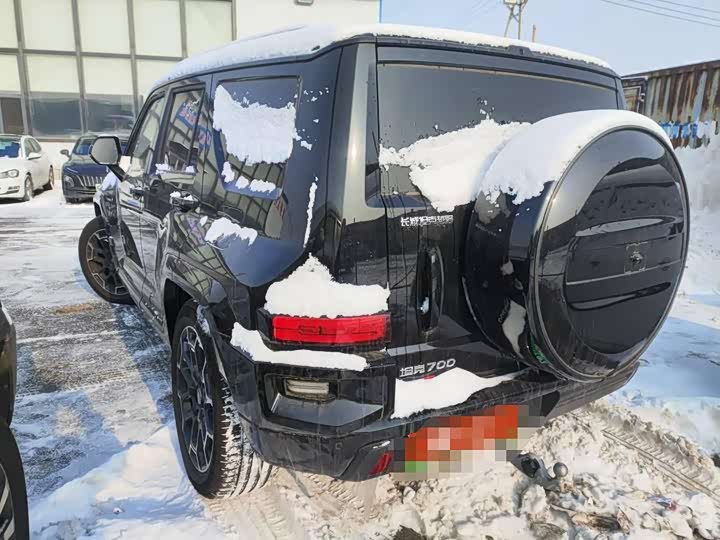 Tank 700 Hybrid 2024 2024款 Hi4-T 极境版