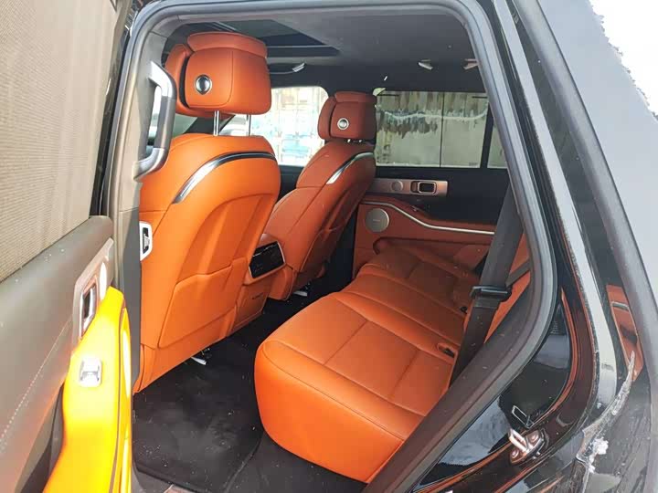 Tank 700 Hybrid 2024 2024款 Hi4-T 极境版