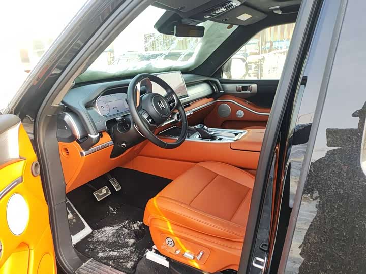 Tank 700 Hybrid 2024 2024款 Hi4-T 极境版