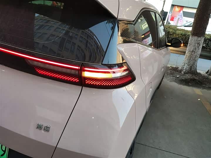 BYD Seagull 2025 2025款 305km 活力版