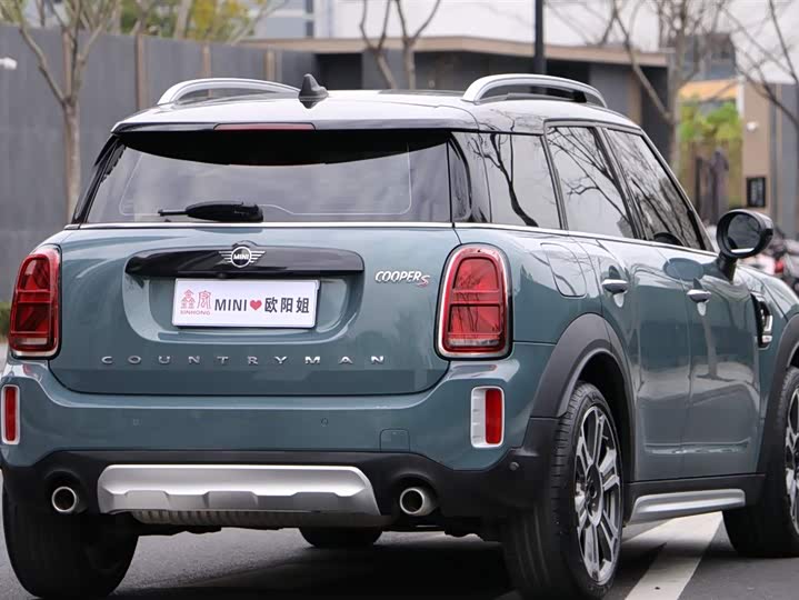 Mini Countryman 2022 2022款 2.0T COOPER S