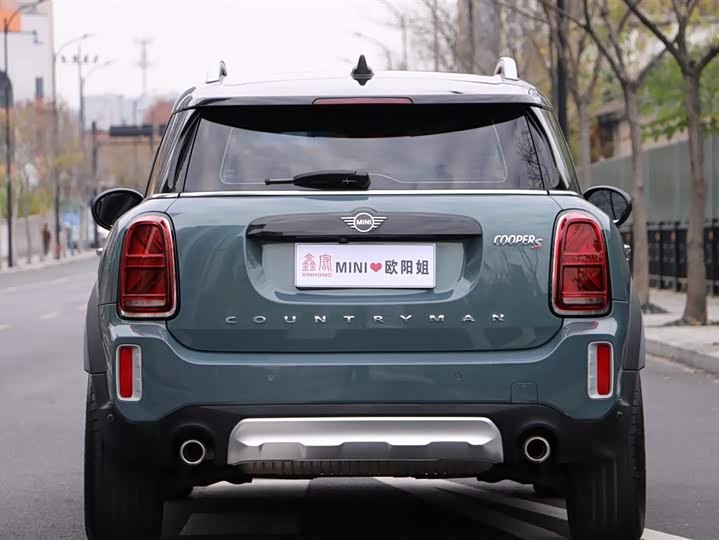 Mini Countryman 2022 2022款 2.0T COOPER S