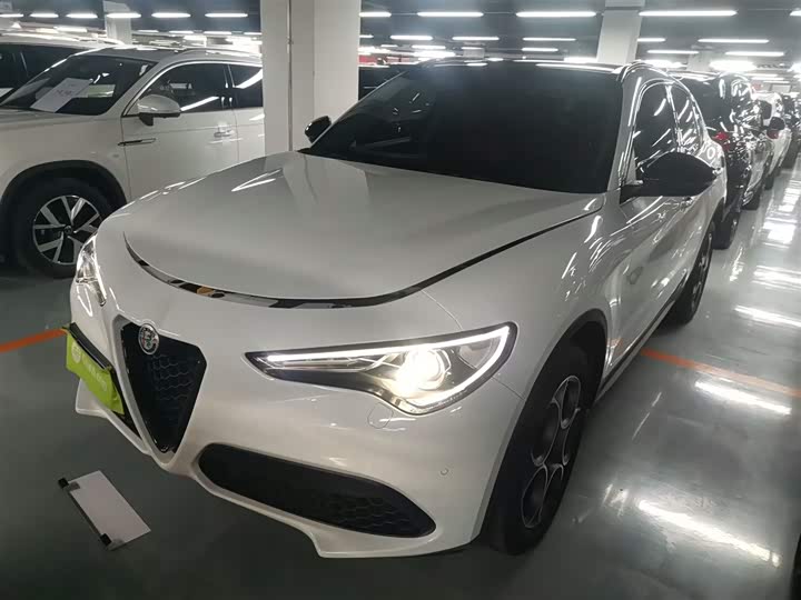 Alfa Romeo Stelvio 2020 2020款 2.0T 280HP 豪华版