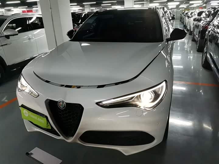 Alfa Romeo Stelvio 2020 2020款 2.0T 280HP 豪华版