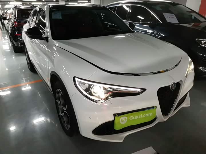 Alfa Romeo Stelvio 2020 2020款 2.0T 280HP 豪华版