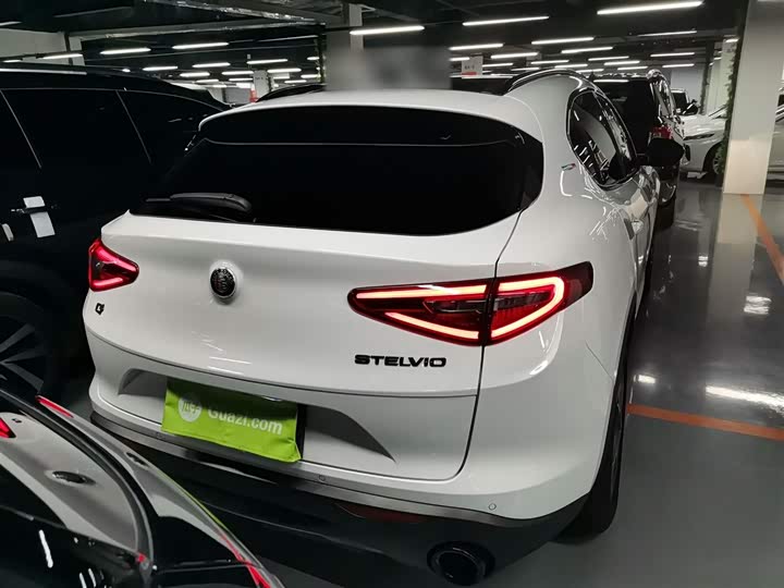 Alfa Romeo Stelvio 2020 2020款 2.0T 280HP 豪华版