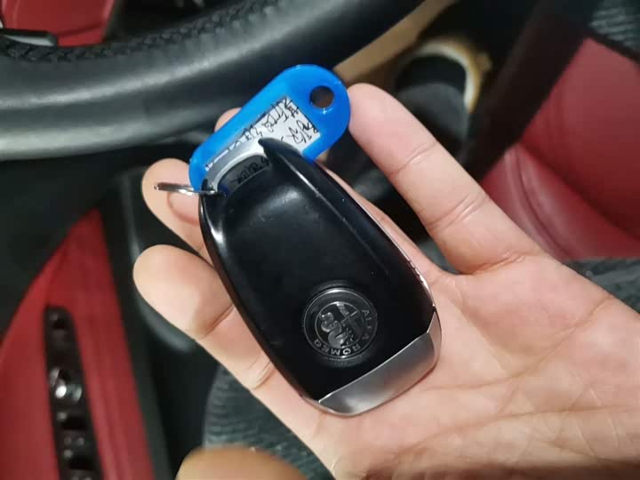 Alfa Romeo Stelvio 2020 2020款 2.0T 280HP 豪华版