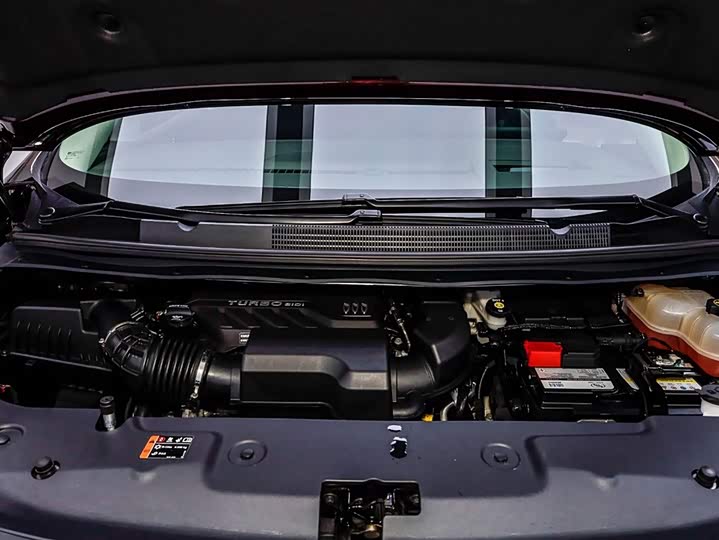 Buick GL8 Century 2025 2025款 2.0T 七座蕴世版