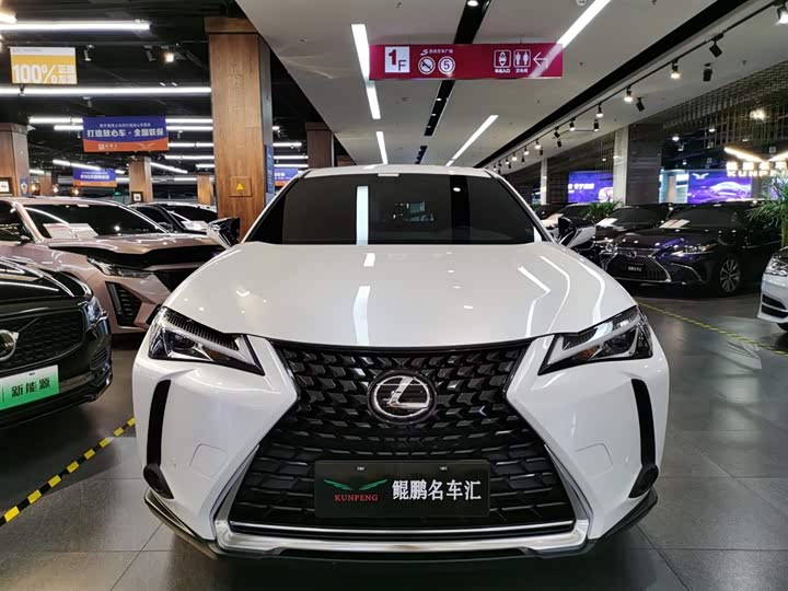 Lexus UX 2020 2020款 200 特别版