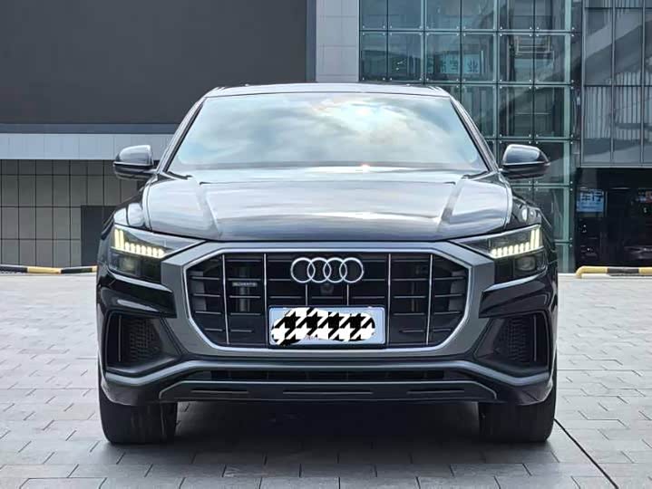 Audi Q8 2022 2022款 55 TFSI 豪华动感型