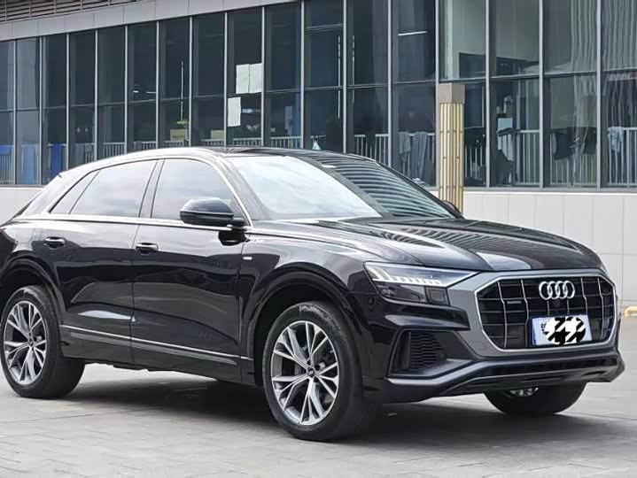 Audi Q8 2022 2022款 55 TFSI 豪华动感型