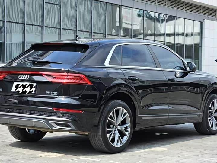 Audi Q8 2022 2022款 55 TFSI 豪华动感型