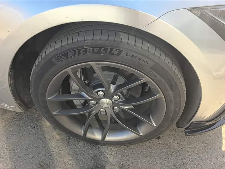 Tesla Model 3 2023 2023款 长续航全轮驱动版