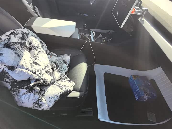 Tesla Model 3 2023 2023款 长续航全轮驱动版