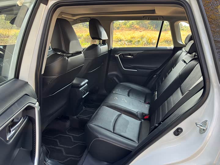 Toyota RAV4 2024 2024款 2.0L CVT两驱风尚Plus版