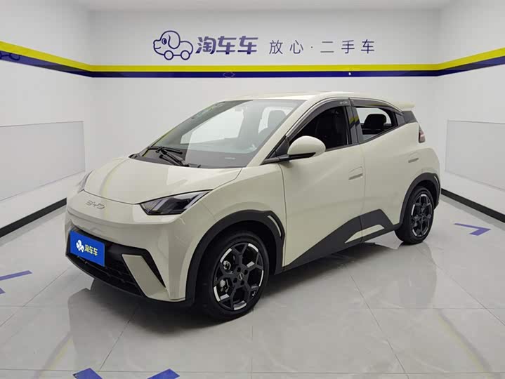 BYD Seagull 2025 2025款 305km 自由版