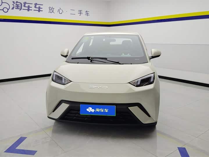 BYD Seagull 2025 2025款 305km 自由版