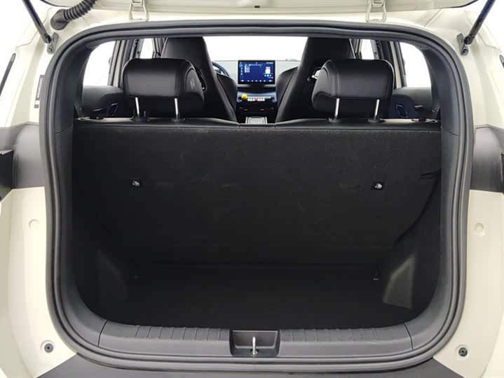 BYD Seagull 2025 2025款 305km 自由版