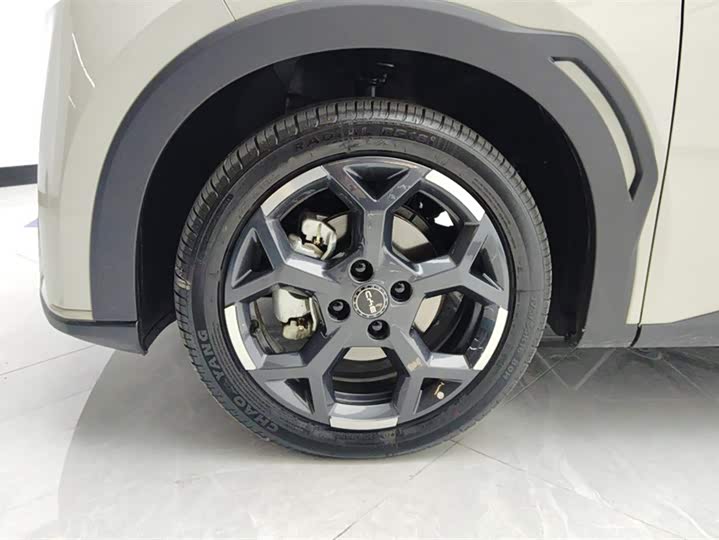 BYD Seagull 2025 2025款 305km 自由版