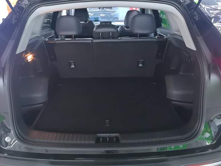 Geely Atlas L 2024 2024款 1.5TD DCT龙腾版