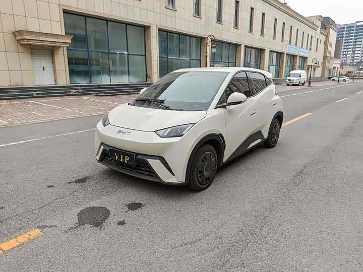 BYD Seagull 2025 2025款 305km 活力版