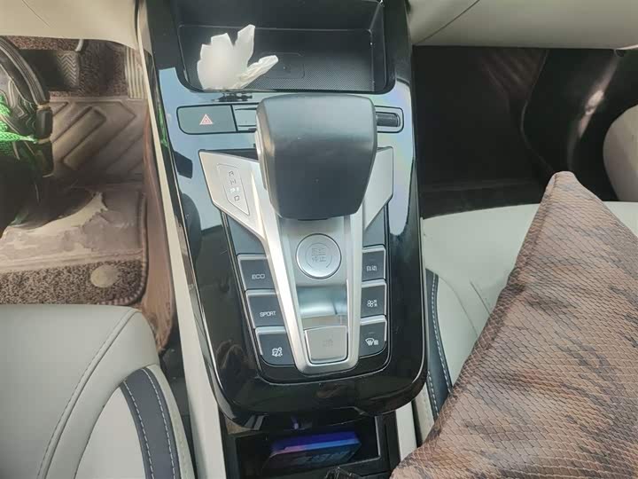 BYD Yuan Pro 2021 2021款 401KM 豪华型