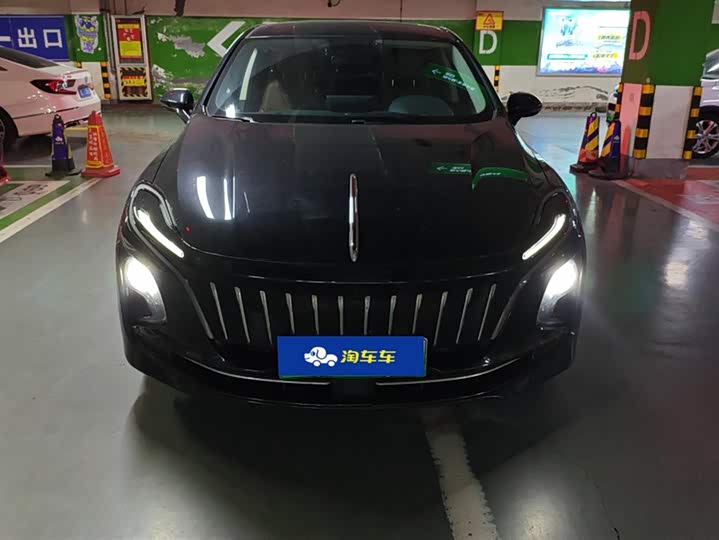 Hongqi E-QM5 2024 2024款 610km PLUS