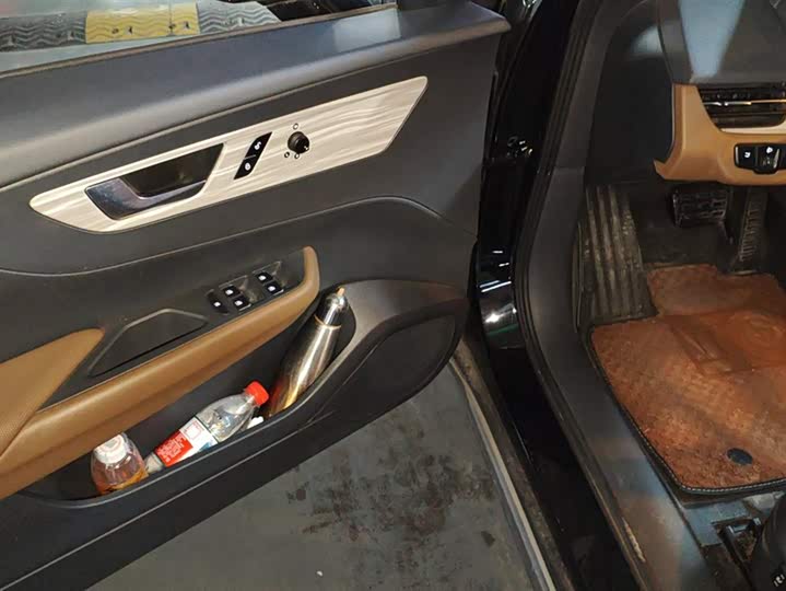 Hongqi E-QM5 2024 2024款 610km PLUS