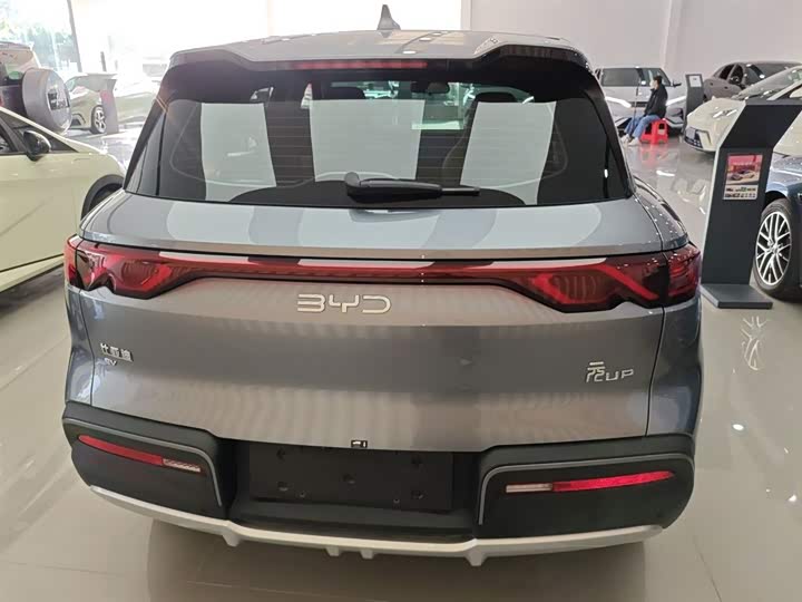 BYD Yuan Up 2024 2024款 401KM 领先型