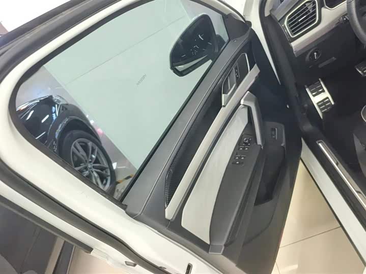 Volkswagen Tayron X 2023 2023款 330TSI 两驱尊贵高能版