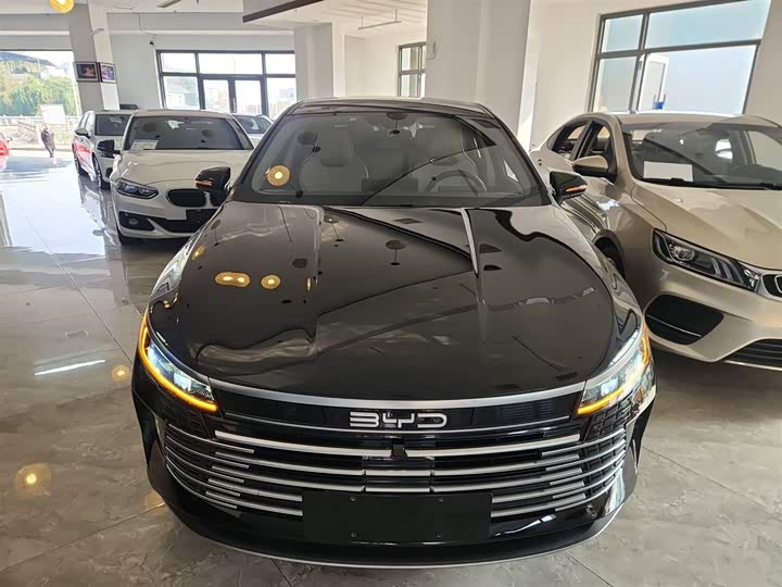 BYD Destroyer 05 2024 2024款 荣耀版 DM-i 55KM 豪华型