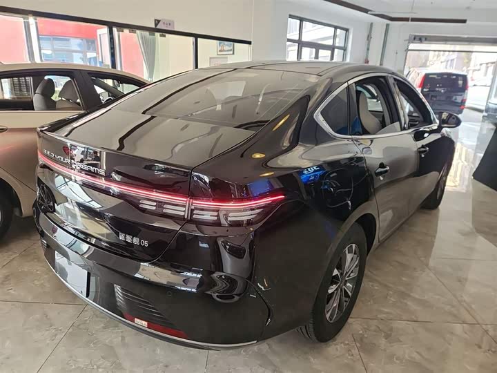 BYD Destroyer 05 2024 2024款 荣耀版 DM-i 55KM 豪华型