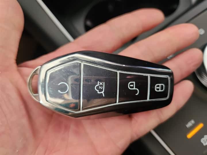 BYD Destroyer 05 2024 2024款 荣耀版 DM-i 55KM 豪华型