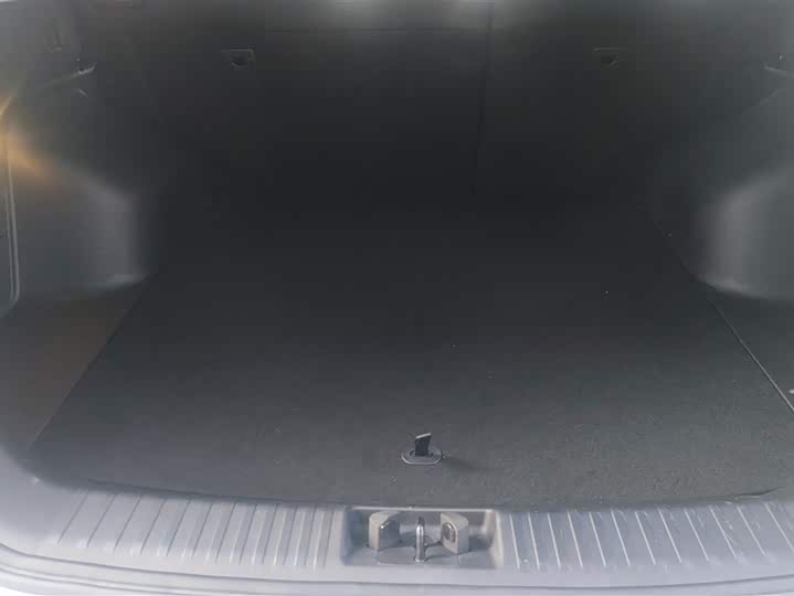 Geely Okavango Pro 2024 2024款 1.5T DCT 纵横+