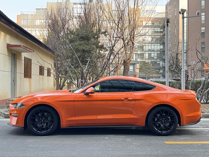 Ford Mustang 2021 2021款 2.3T EcoBoost