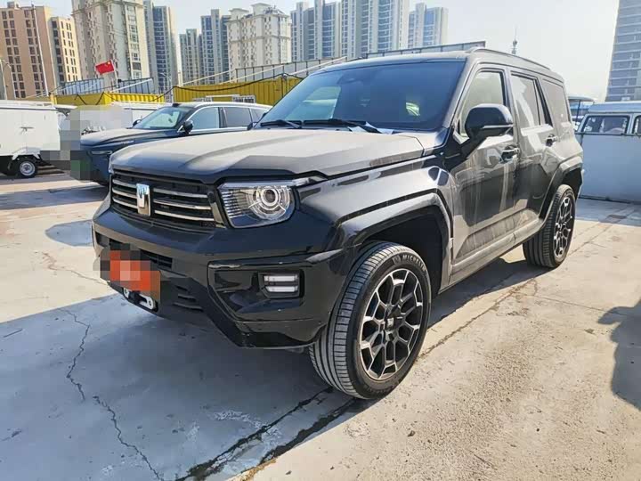 Tank 700 Hybrid 2024 2024款 Hi4-T 极境版