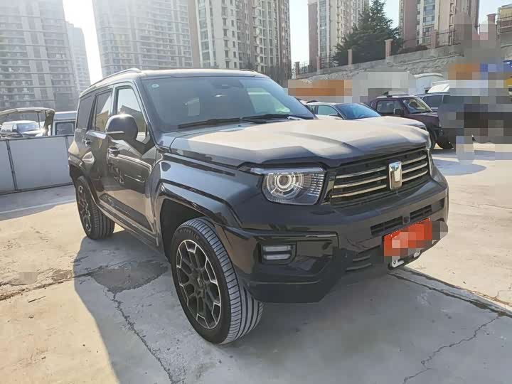 Tank 700 Hybrid 2024 2024款 Hi4-T 极境版