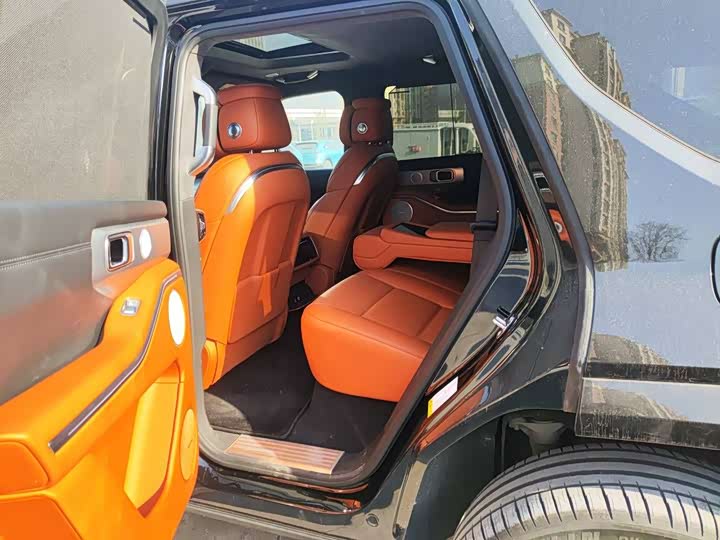 Tank 700 Hybrid 2024 2024款 Hi4-T 极境版