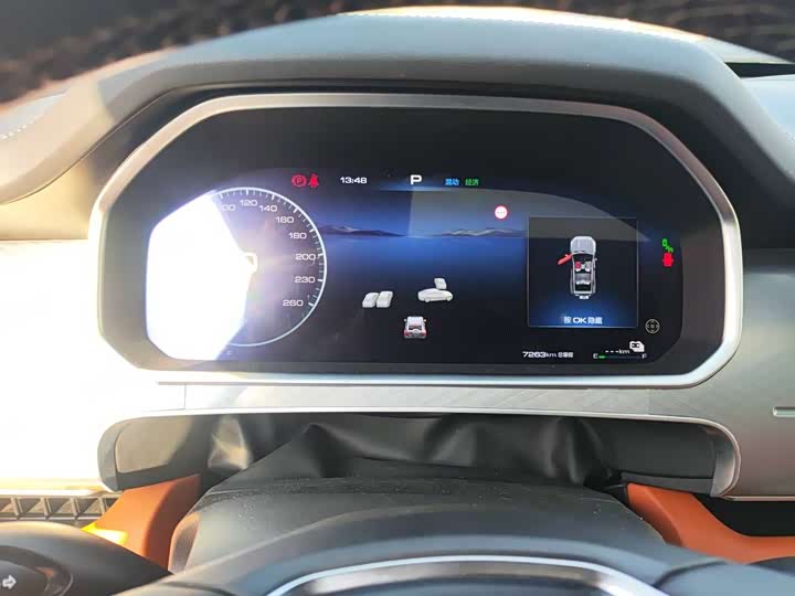 Tank 700 Hybrid 2024 2024款 Hi4-T 极境版